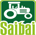 Saibai